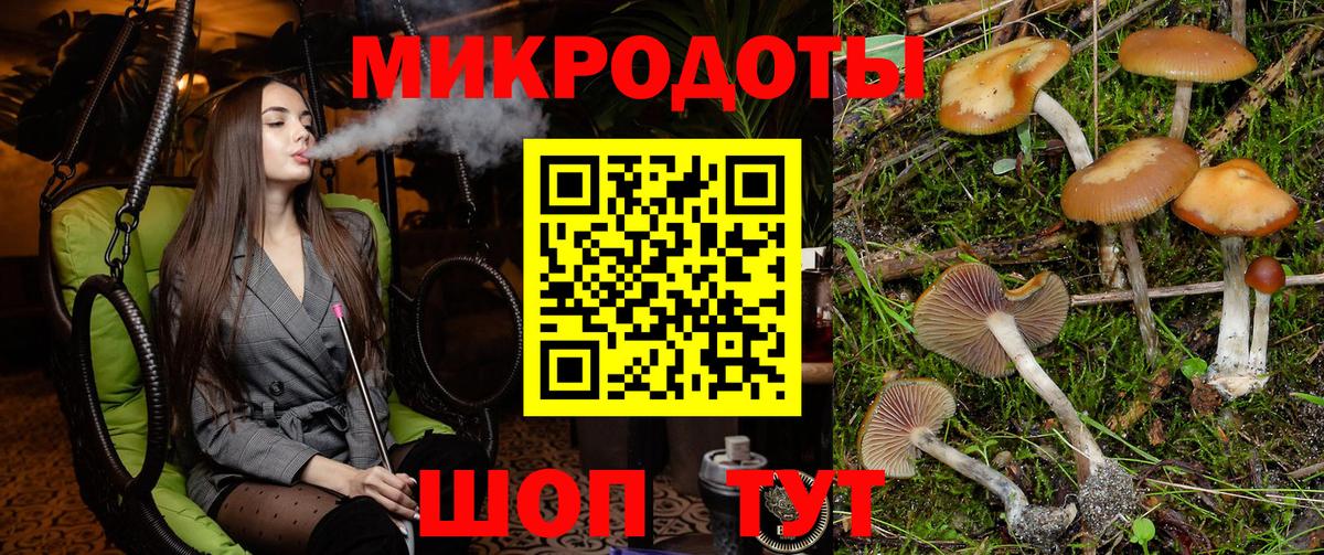 Псилоцибиновые грибы MAGIC MUSHROOMS  Вход с VPN  Псилоцибиновые грибы мухоморы  Псков 