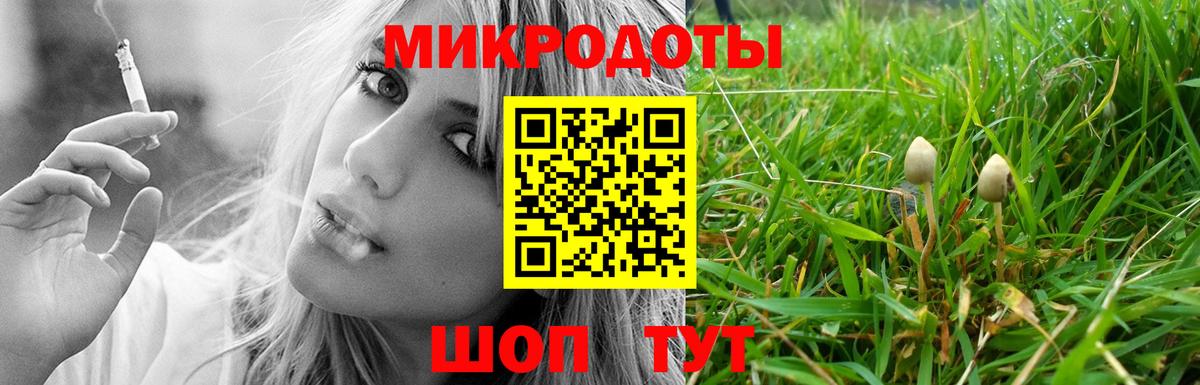 Галлюциногенные грибы Cubensis Псков